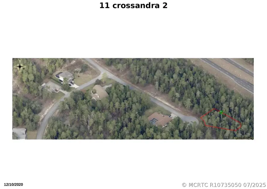 11 Crossandra Court E, Homosassa, FL 34446 - #2