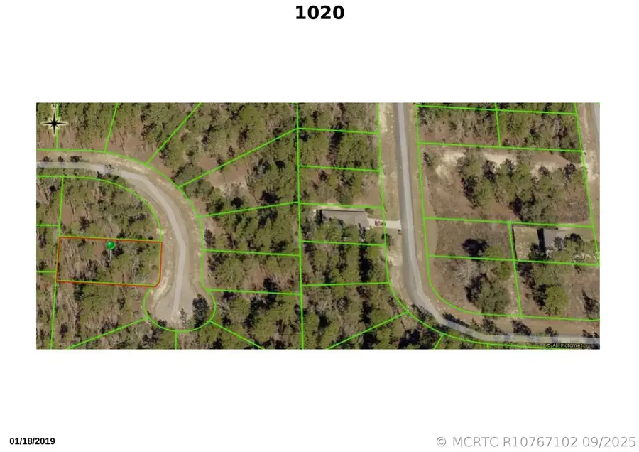 1020 W Riley Drive, Citrus Springs, FL 34434 - #2