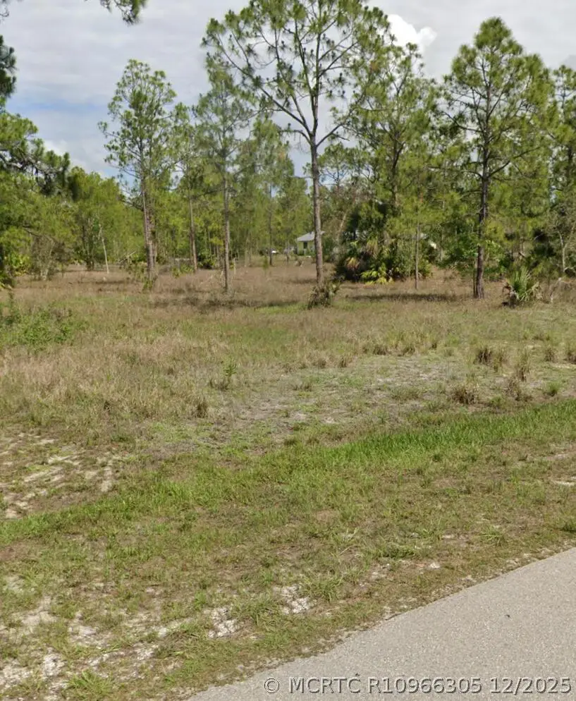 109 Moore Avenue, Lehigh Acres, FL 33936 - #1