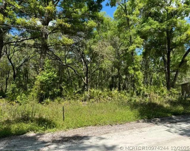 Tbd NE 472nd Avenue, Old Town, FL 32680 - #1