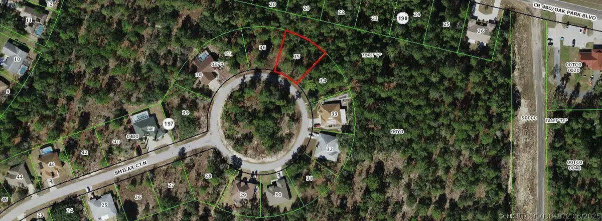 29 Smilax Court N, Homosassa, FL 34446 - #1