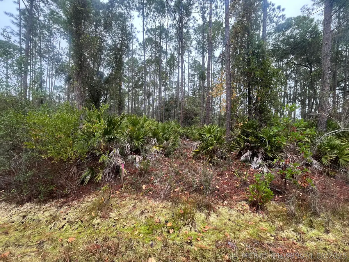 222 Marie Avenue, Georgetown, FL 32139 - #1