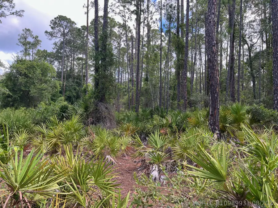222 Marie Avenue, Georgetown, FL 32139 - #2