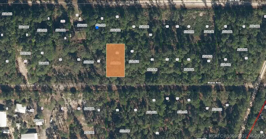 222 Marie Avenue, Georgetown, FL 32139 - #3