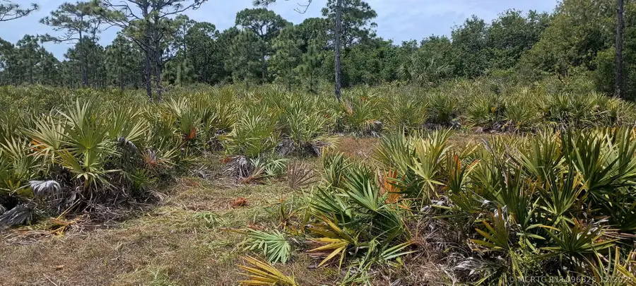 000 None, Grant Valkaria, FL 32950 - #2