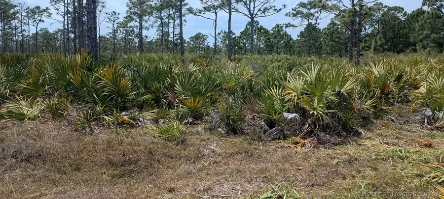 000 None, Grant Valkaria, FL 32950 - #3