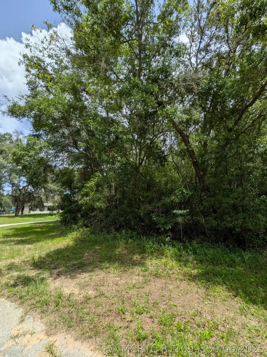 8989 N Conch Terrace, Dunnellon, FL 34434 - #2