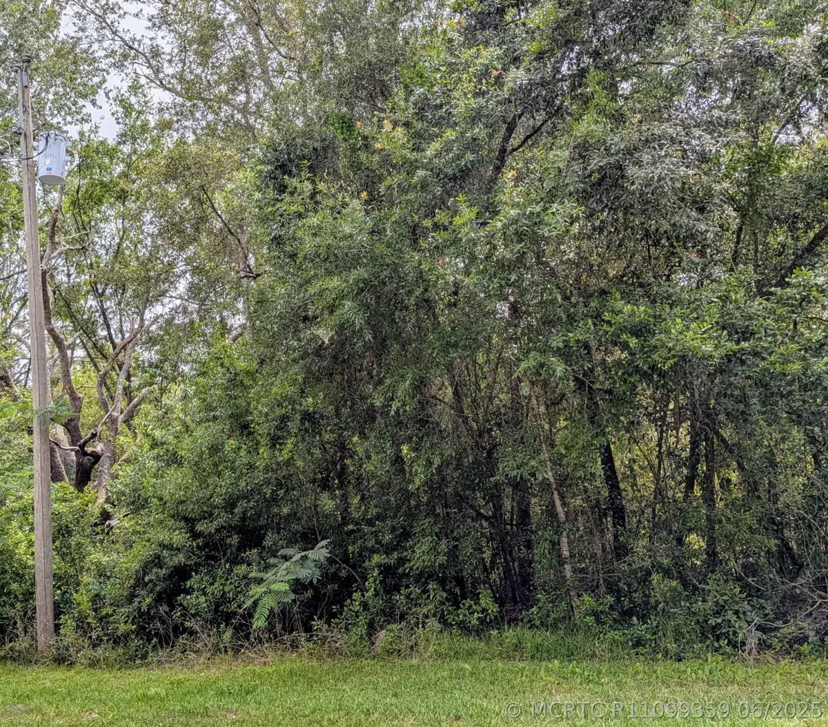8970 N Joann Drive, Citrus Springs, FL 34434 - #1