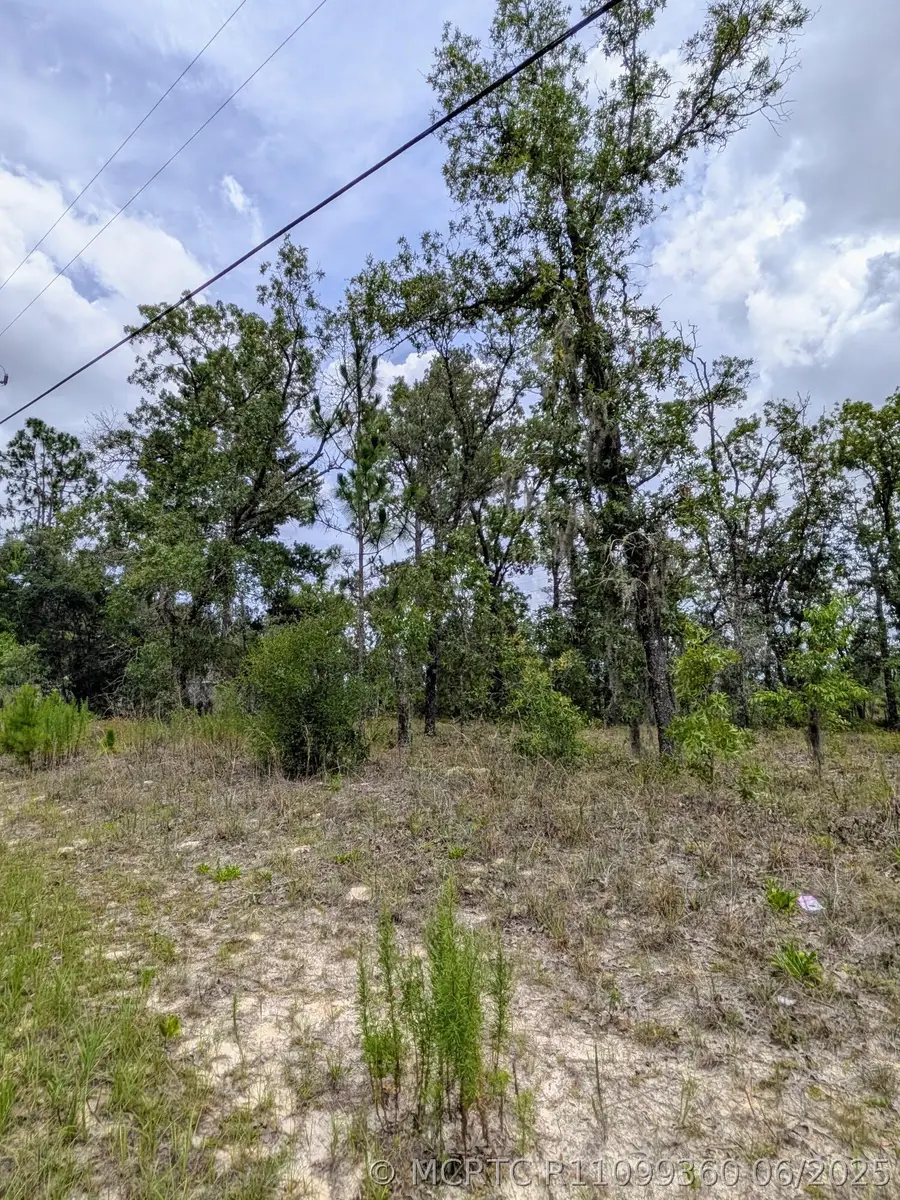 2450 W Rutland Drive, Citrus Springs, FL 34434 - #3