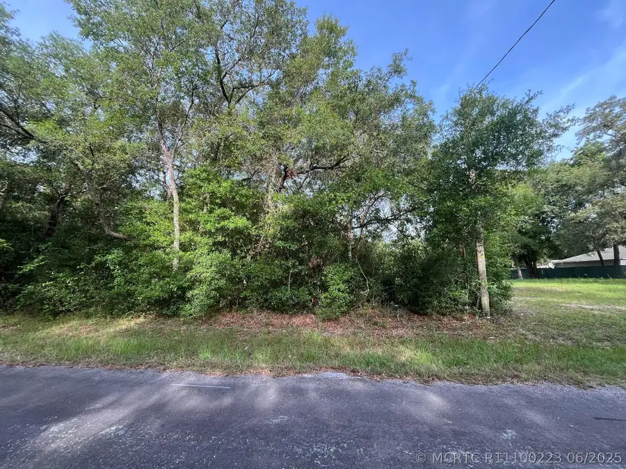 6634 N Pagoda Tree Terrace, Hernando, FL 34442 - #3