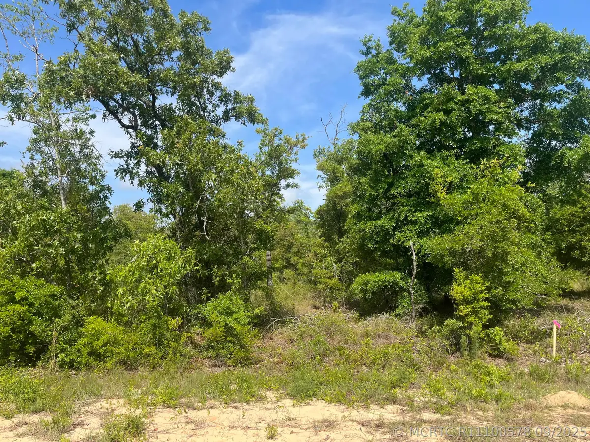 Tbd Rome Avenue, Alford, FL 32420 - #1