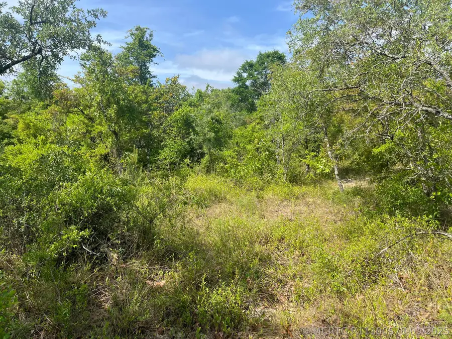 Tbd Rome Avenue, Alford, FL 32420 - #3