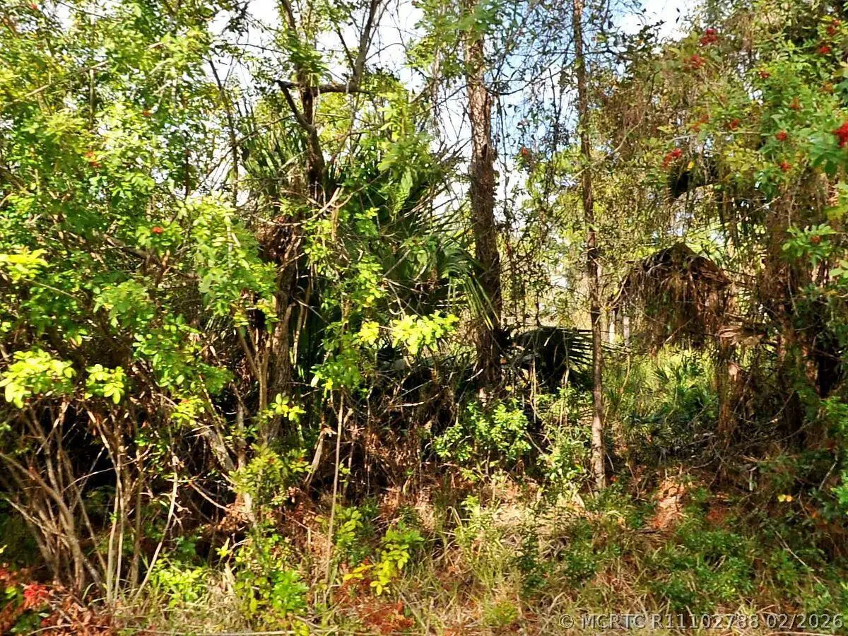 0 Haffenberg Ave Avenue, North Port, FL 34288 - #1