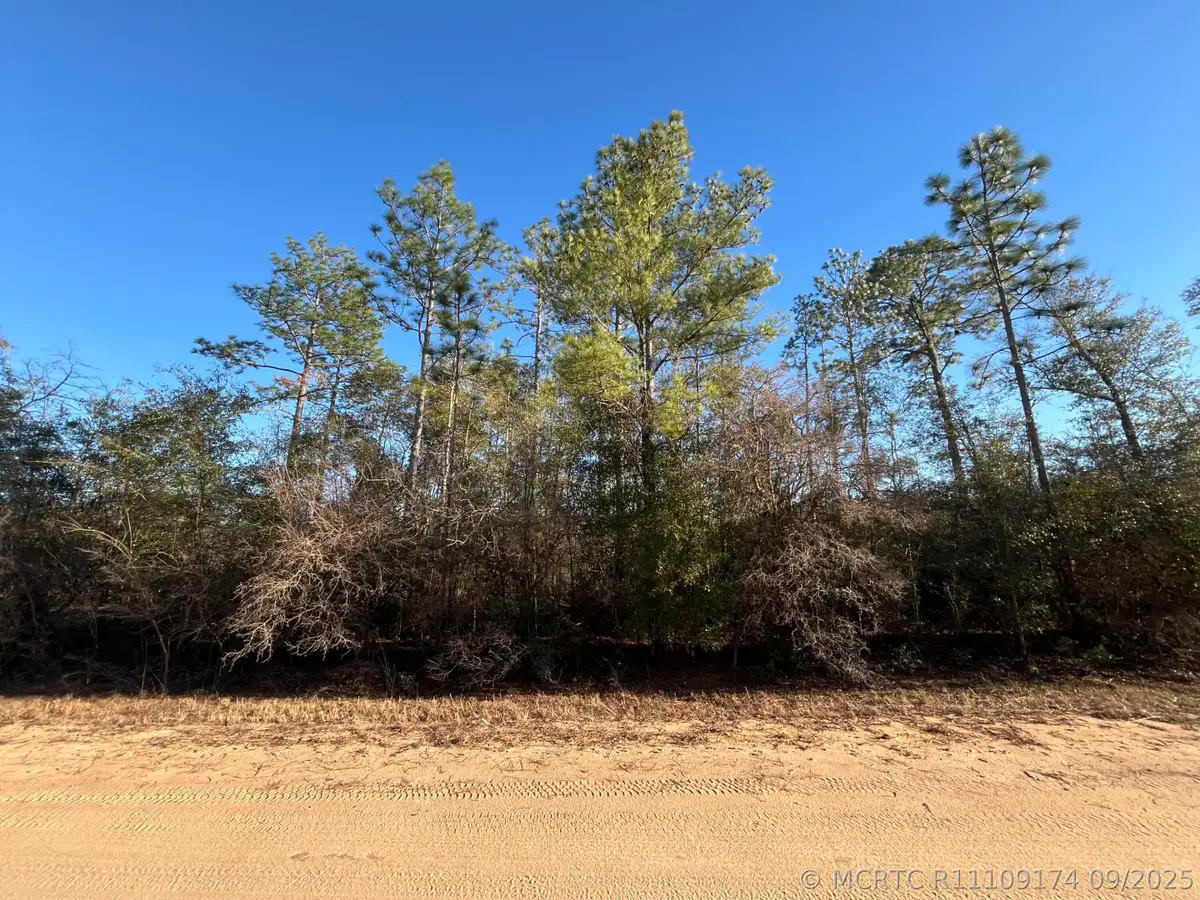 Tbd Goreville, Alford, FL 32420 - #1