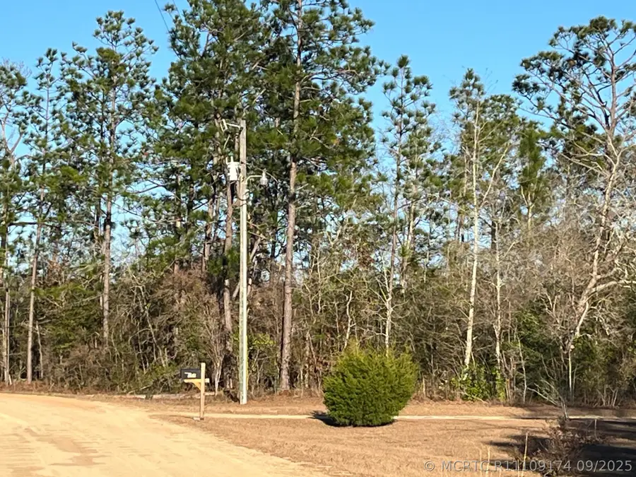 Tbd Goreville, Alford, FL 32420 - #2