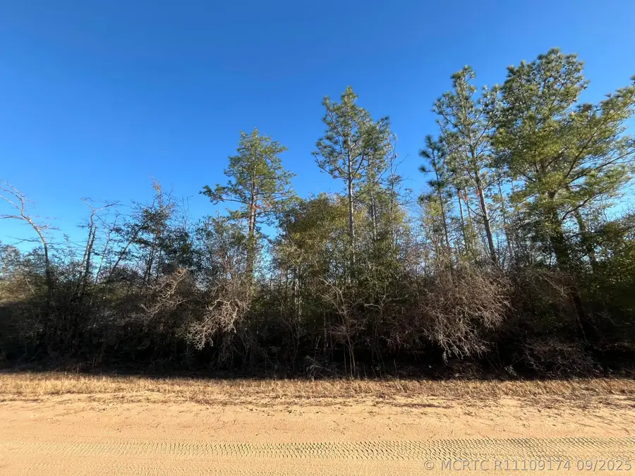 Tbd Goreville, Alford, FL 32420 - #3