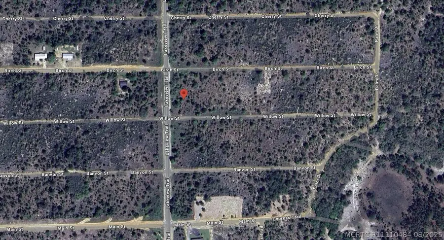 1504 Lakeview Trail, Interlachen, FL 32148 - #3