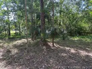000 129th Avenue N, Royal Palm Beach, FL 33411 - #2