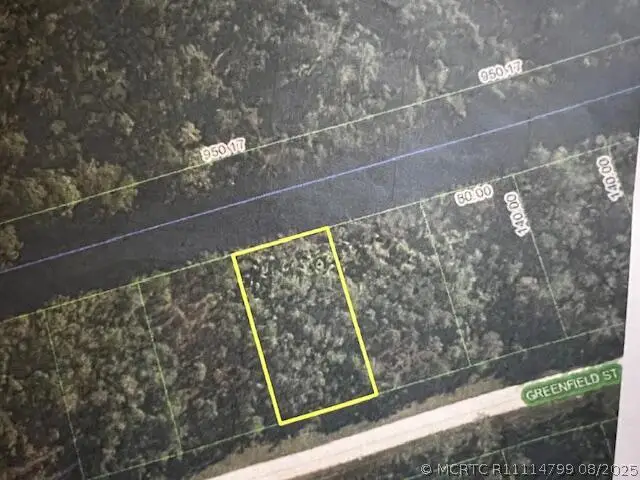 1123 Greenfield Street, Lake Placid, FL 33852 - #2