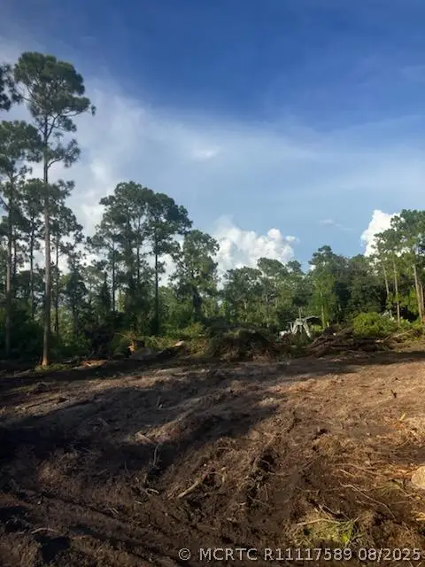 2018 Canton Avenue, Alva, FL 33920 - #1