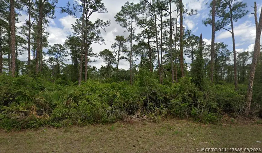 2018 Canton Avenue, Alva, FL 33920 - #2