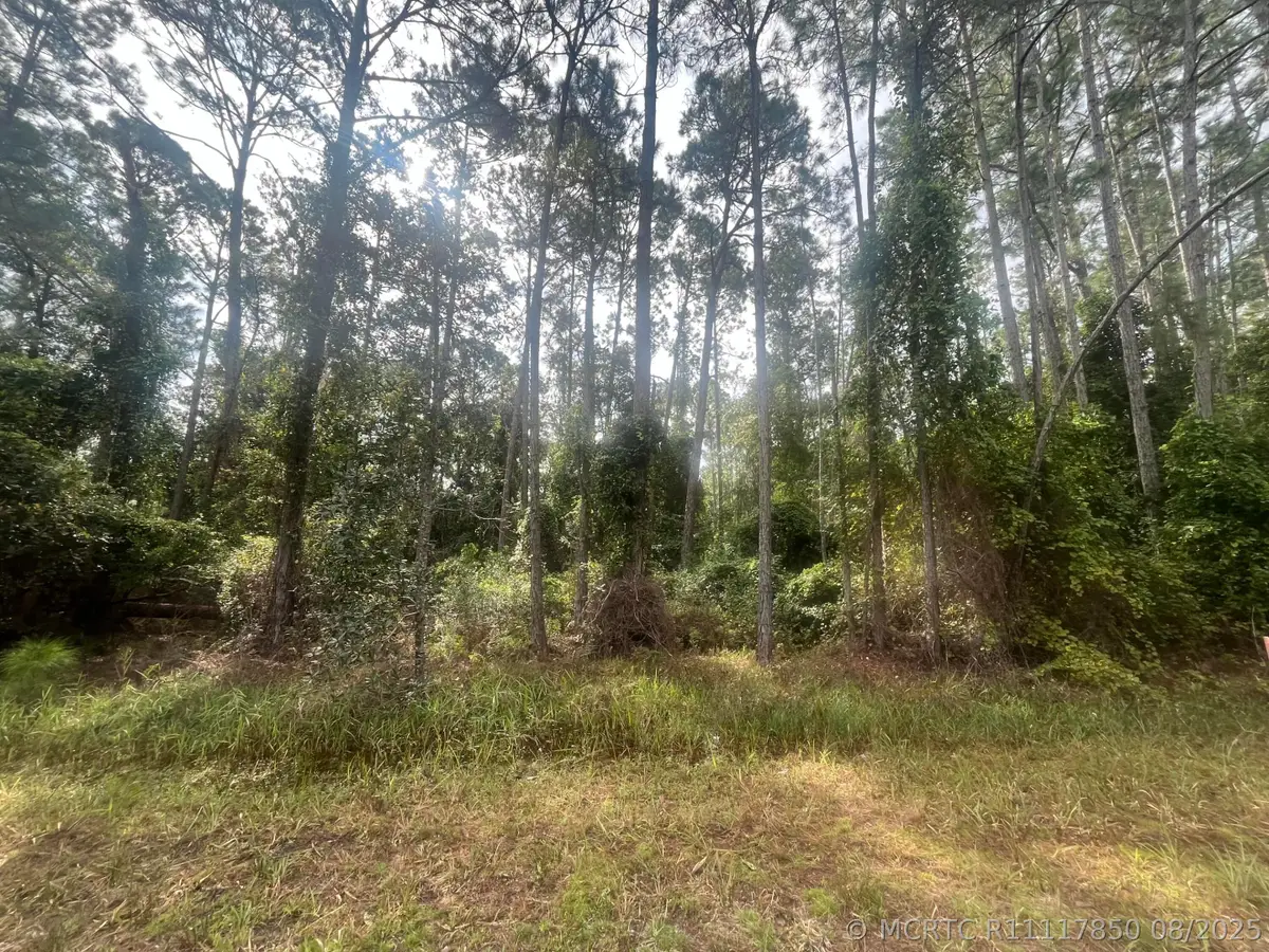223 SE 2nd Street, Georgetown, FL 32139 - #1
