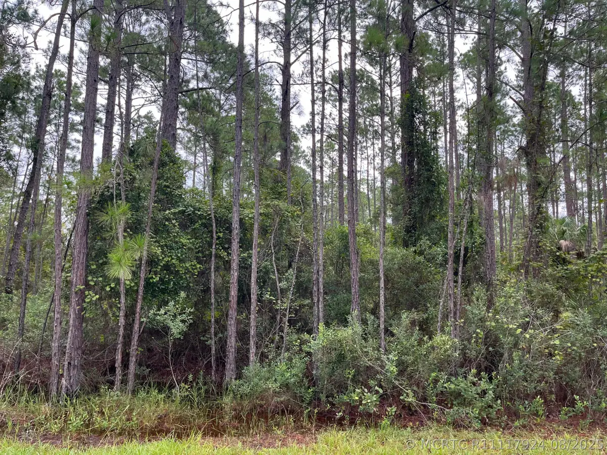 117 Mosswood Street, Georgetown, FL 32139 - #1