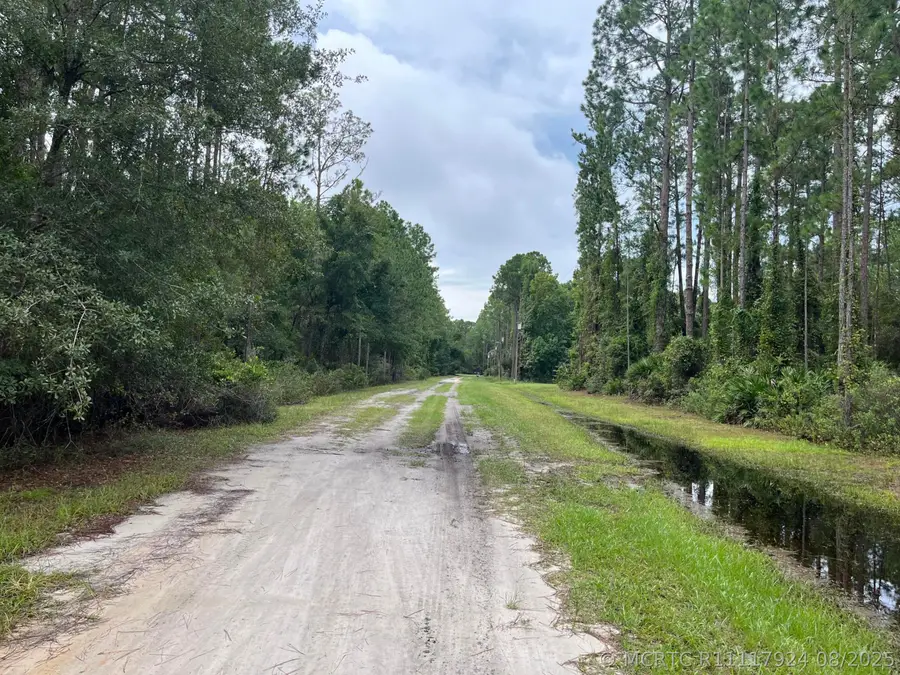 117 Mosswood Street, Georgetown, FL 32139 - #2