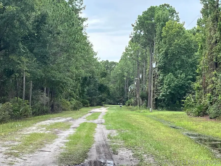 117 Mosswood Street, Georgetown, FL 32139 - #3