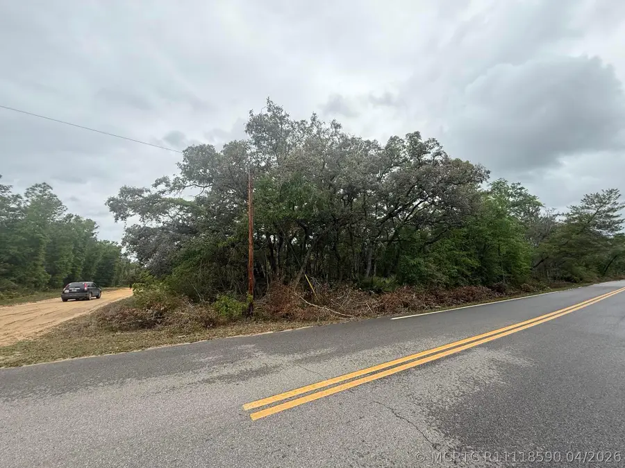 Tbd Theresa Avenue, Interlachen, FL 32148 - #2