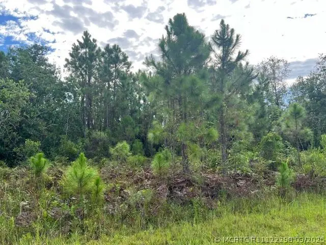 1131 Greenfield Street, Lake Placid, FL 33852 - #1