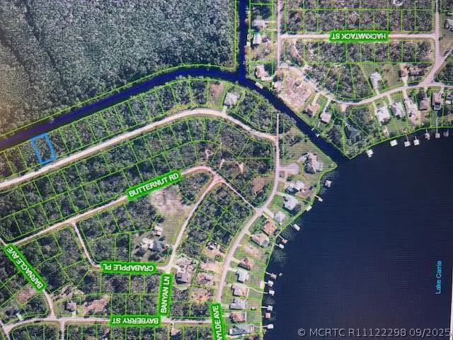 1131 Greenfield Street, Lake Placid, FL 33852 - #3