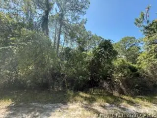 337 Palm Way, Georgetown, FL 32139 - #1