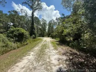 337 Palm Way, Georgetown, FL 32139 - #2