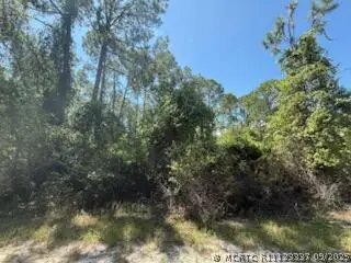 337 Palm Way, Georgetown, FL 32139 - #3