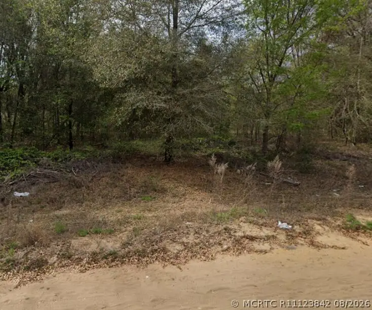 0 N Helmers Avenue, Interlachen, FL 32148 - #2