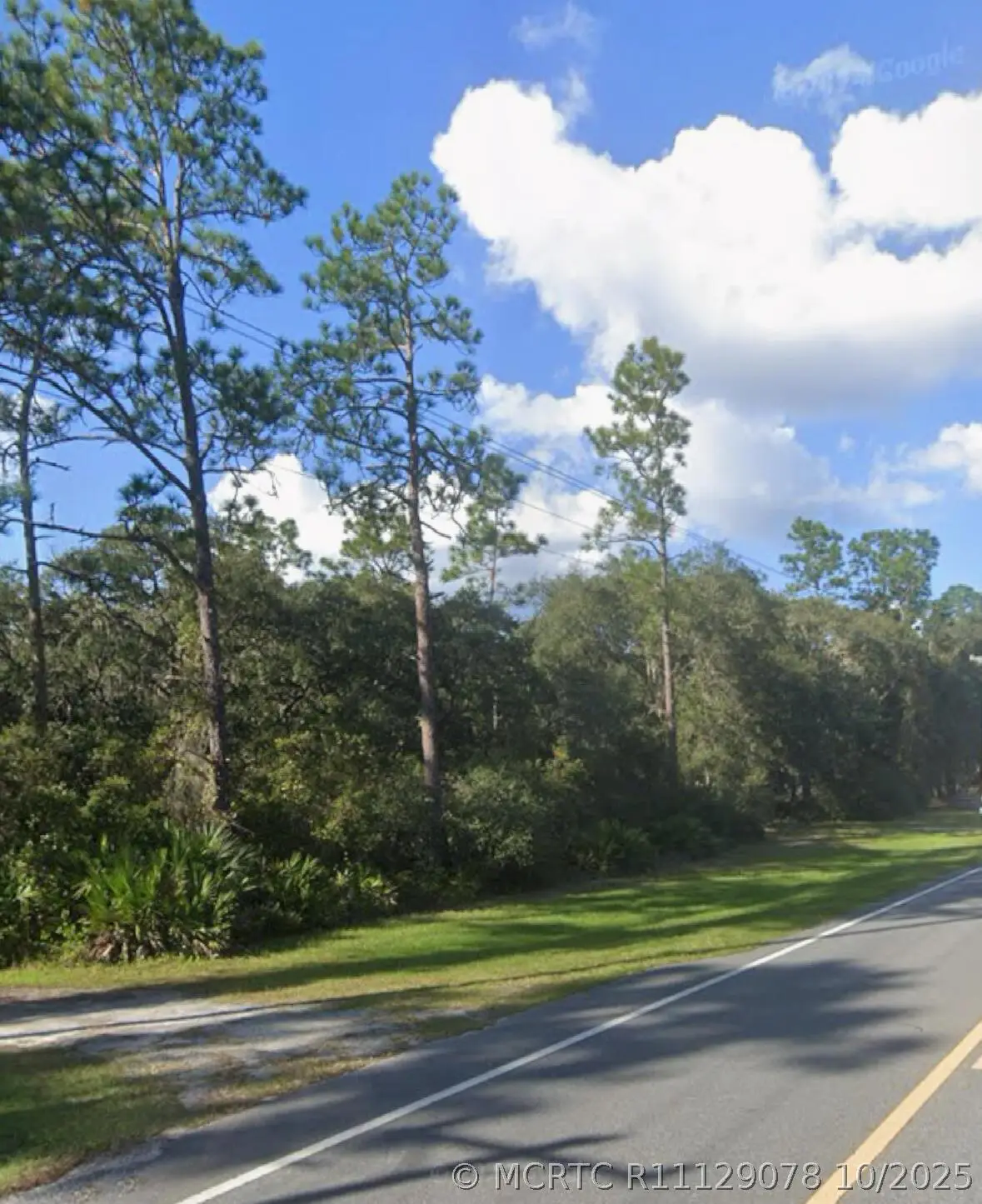 0 NE 315 Hwy, Fort McCoy, FL 32134 - #1
