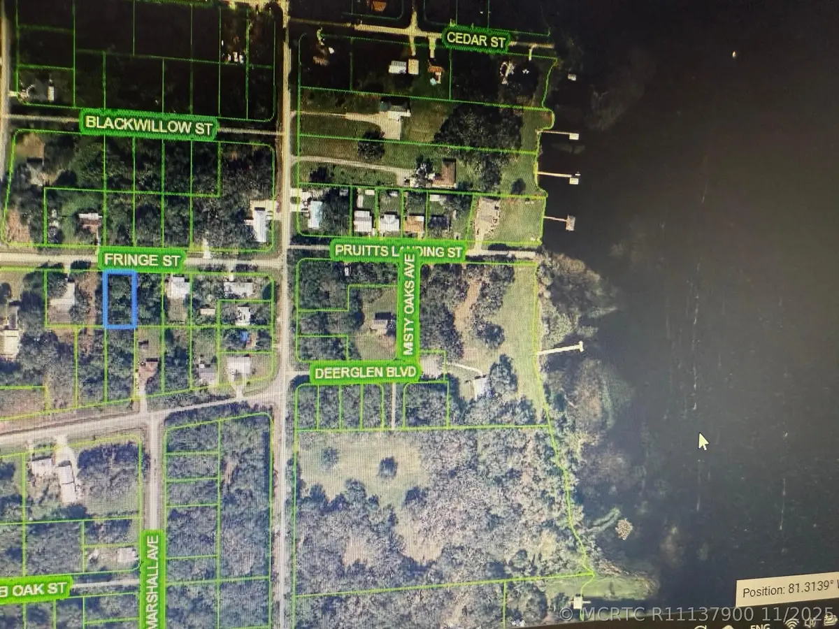 1507 Fringe Street, Lake Placid, FL 33852 - #1