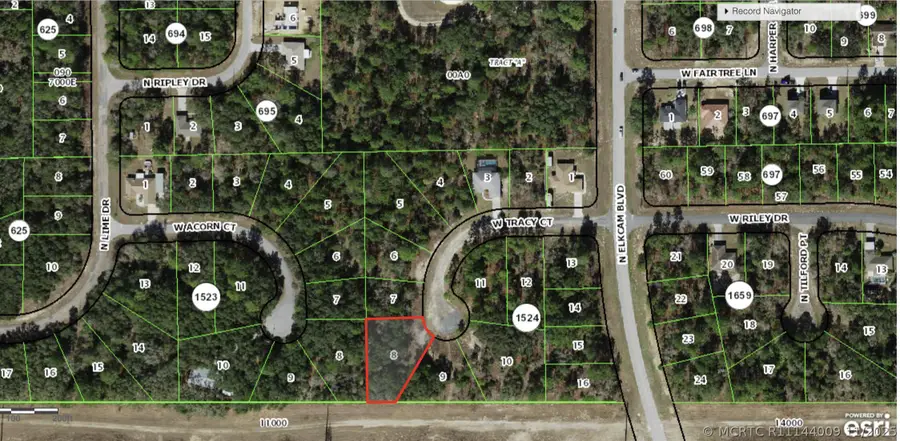 2770 W Tracy Court, Citrus Springs, FL 34433 - #2