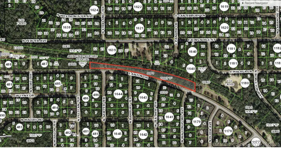 0 E Anton Drive, Citrus Springs, FL 34434 - #2