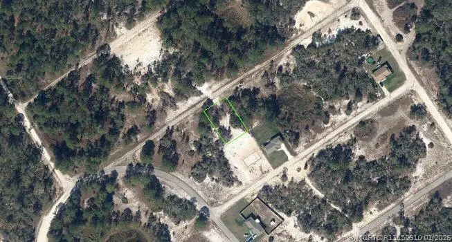 447 Blackbird Avenue, Lake Placid, FL 33852 - #1