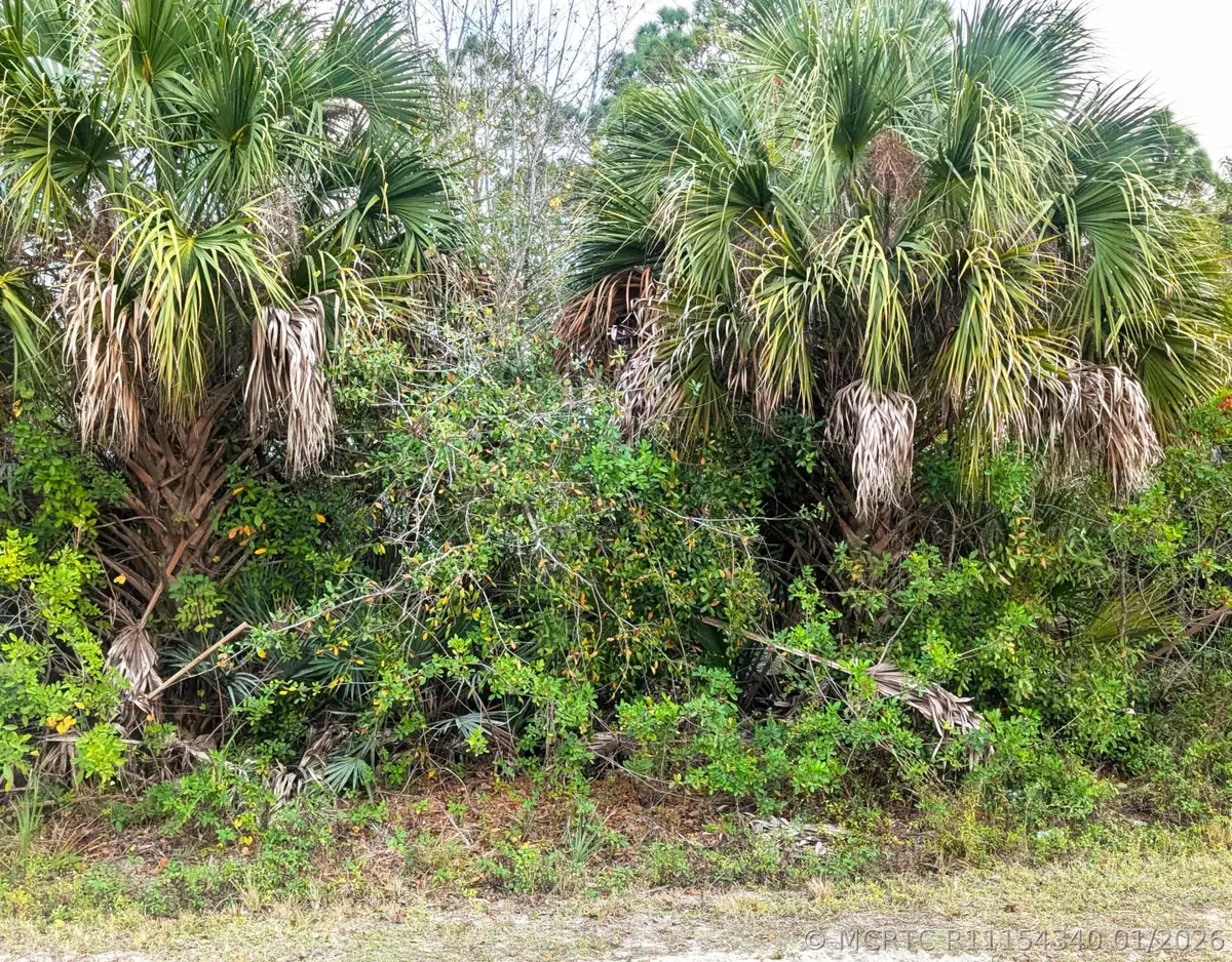 12885 86th Street, Fellsmere, FL 32948 - #1