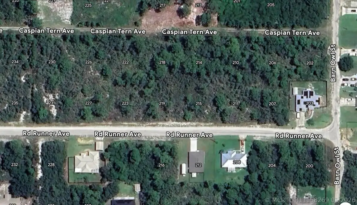 215 Roadrunner Avenue, Sebring, FL 33870 - #1