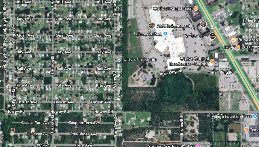 215 Roadrunner Avenue, Sebring, FL 33870 - #2
