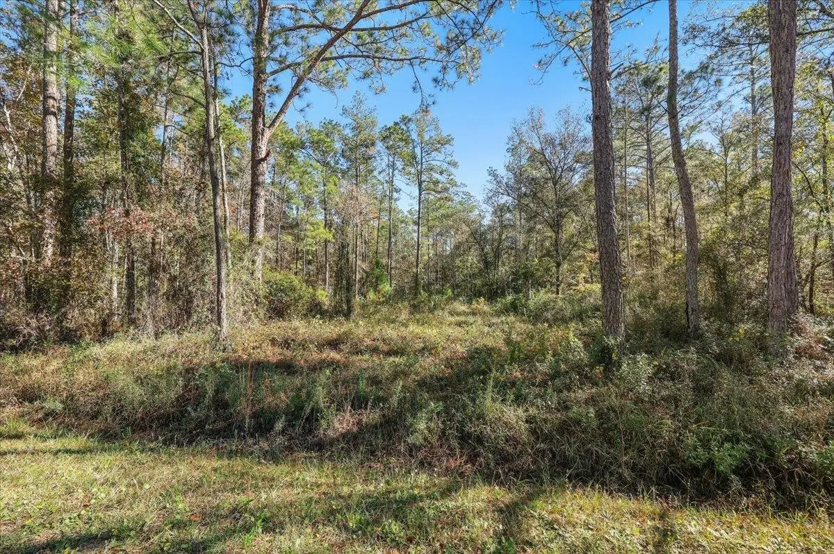 10690 Gregory Ave, Hastings, FL 32145 - #1