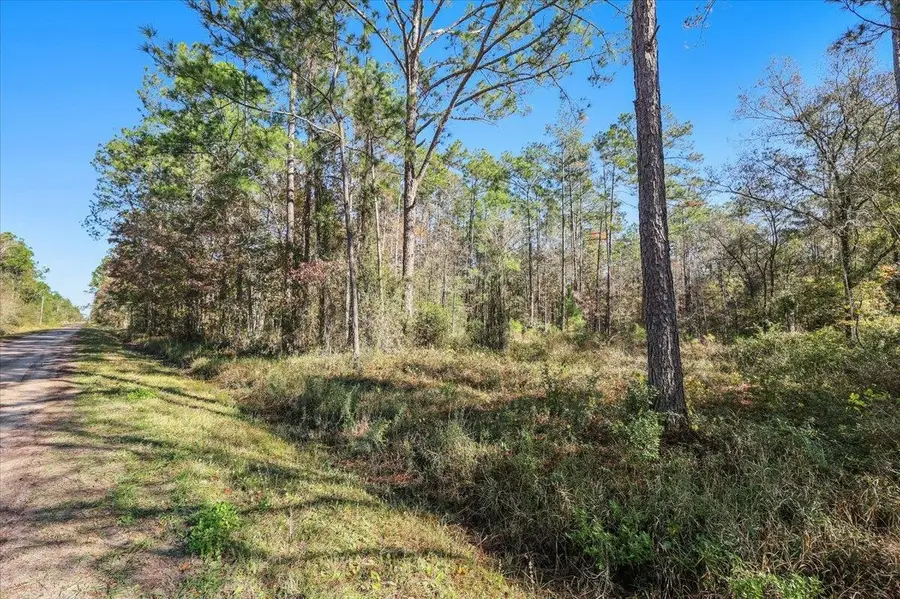 10690 Gregory Ave, Hastings, FL 32145 - #2