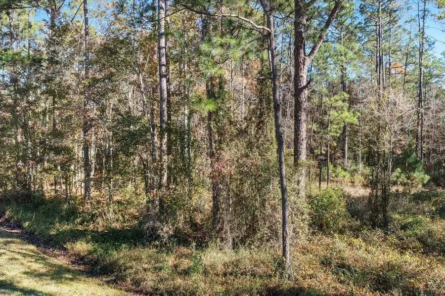 10690 Gregory Ave, Hastings, FL 32145 - #3