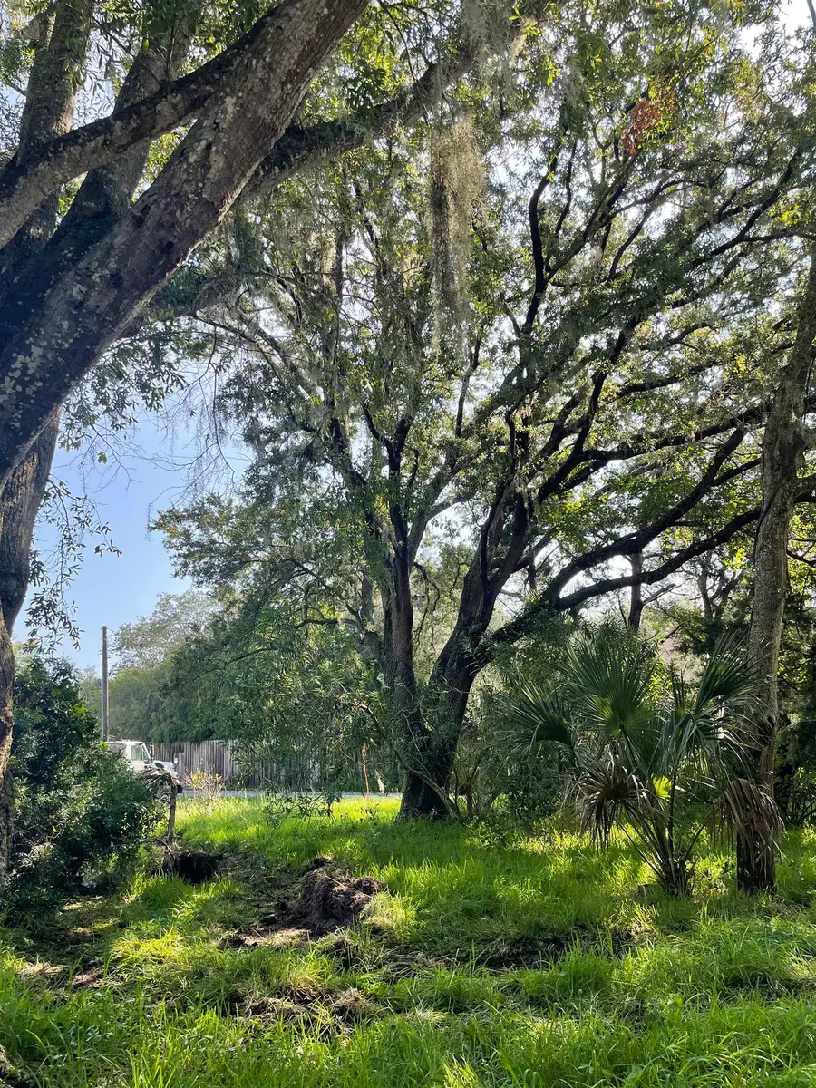 Madrid St Lot 1, Saint Augustine Beach, FL 32080 - #3