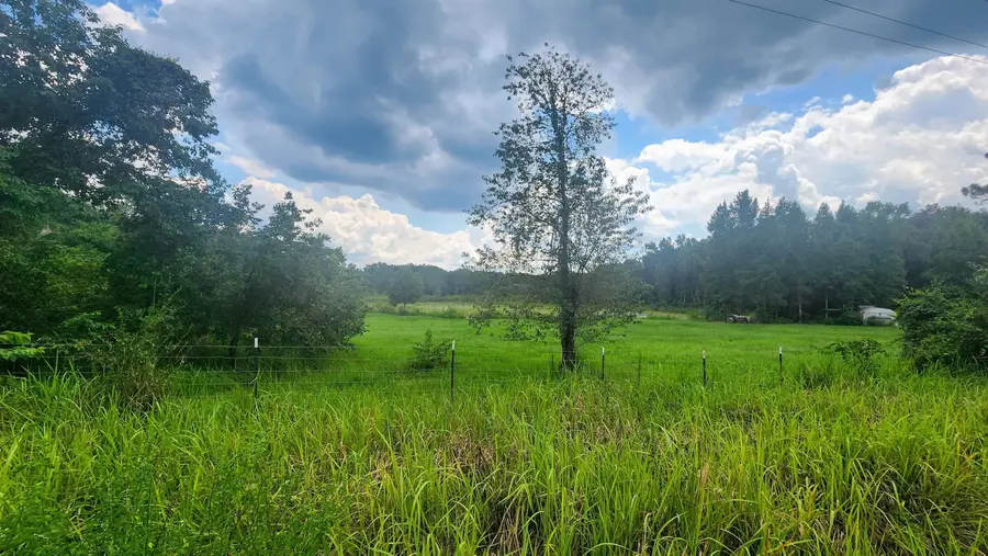 129 Lake View Dr, Pomona Park, FL 32181 - #2