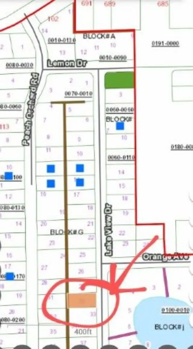 129 Lake View Dr, Pomona Park, FL 32181 - #3